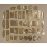 A collection of forty-four Chinese Canton mother-of-pearl gaming counters, mid/late 19th century, of