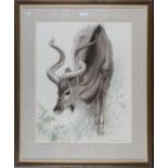 Ralph Thompson - Study of a Kudu, 20th century pastel and watercolour, signed, 65cm x 51cm, within a