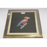 A pair of early 20th century French hand-coloured engravings of parrots, within mirrored and gilt