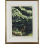 Jeremy Paul - 'Roe Buck', late 20th century watercolour with gouache, signed and titled, 42cm x