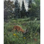 Douglas Anderson - Study of a Young Stag in a Woodland Glade with Flowers and Trees beyond, late