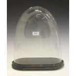 A Victorian glass display dome, height 35cm, width 30.5cm, depth 14.5cm, raised on an ebonized