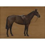 Frances Mabel Hollams - 'Readable' (Study of a Racehorse), mid-20th century oil on panel, signed and