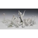 Twelve Lladro porcelain models of birds, including Turtle Dove, No. 4550, two Couple of Doves, No.