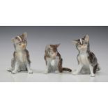 Three Dresden porcelain Meissen style models of cats, 20th century, each seated and with brown and