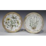 Two Royal Copenhagen porcelain Flora Danica pattern plates, circa 1969-74, one painted with a titled