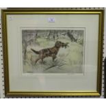 Henry Wilkinson - Red Setter with Game Bird, 20th century hand-coloured etching with drypoint,