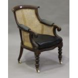 A William IV mahogany showframe library armchair with cane seat and back, on turned legs, height