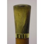 A George V rhino horn handled Malacca walking cane with 18ct gold collar, marked 'Brigg', London