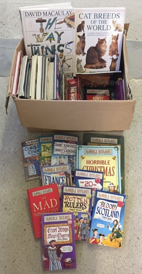 A box of modern children's books to include Horrible Histories and factual.