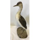 A taxidermy Guillemot water bird with white and brown plumage.