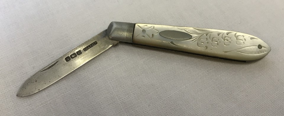 Silver and mother of pearl handled fruit knife with empty cartouche and bluebell decoration.