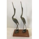A pair of horn cranes mounted onto wooden plinth.