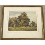 Watercolour sketch of trees at Danesbury Park. Signed EML and dated Oct 1930.