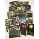Approx. 180 vintage colour postcards of flowers.