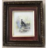 A framed and glazed hand painted ceramic tile of a Capercaillie.