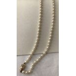 A single strand of ivory uniform cultured pearls with pearl set 9ct gold clasp.