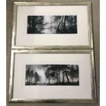 2 framed and glazed limited edition prints by Oliver Pengilley of woodland scene in black and white.