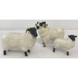 3 Beswick black faced sheep, ram, ewe and lamb.