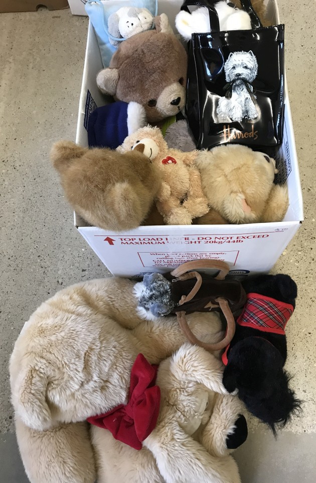 A box of assorted soft toys, mostly dogs and bears.