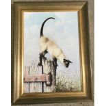 Peter Welch - (c20th East Anglian wildlife artist) - oil on board of a Siamese cat.