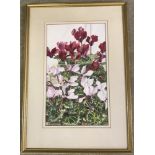 R Chapman - watercolour of cyclamen flowers.