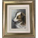 Peter Welch - (c20th East Anglian wildlife artist) - oil on board of a Rough Collie Dog.