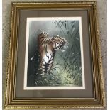 Peter Welch - (c20th East Anglian wildlife artist) - watercolour montage of a Bengal Tiger.