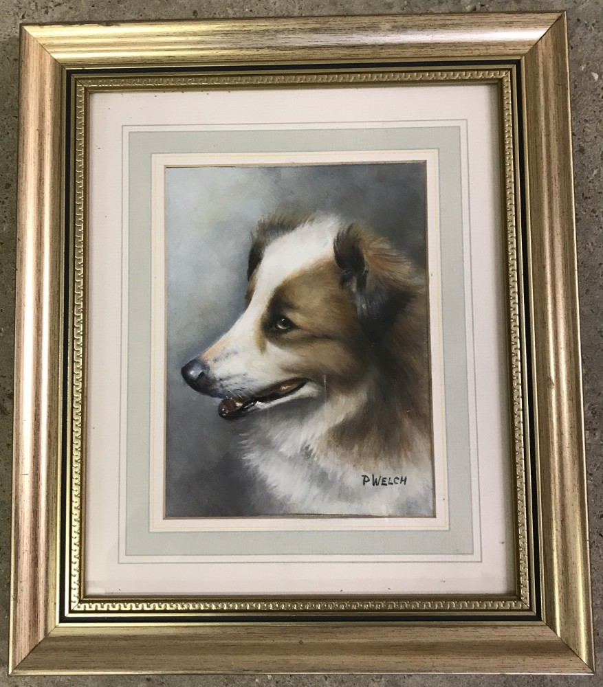 Peter Welch - (c20th East Anglian wildlife artist) - oil on board of a Rough Collie Dog.