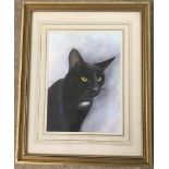 Watercolour of a black cat from the estate of the late Peter Welch, East Anglian Wildlife Artist.