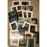 A collection of 26 wildlife and flowers mounted photographs.