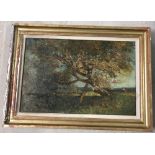 A gilt framed oil on canvas of Oak tree in a rural landscape.