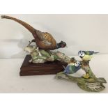 A Ltd Ed Coalport ceramic Pheasant figure on wooden plinth from the "Game Birds" series. No 109/750