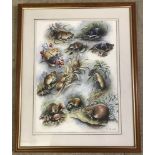 Peter Welch - (c20th East Anglian wildlife artist) - watercolour montage of small mammals.
