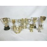 A selection of eight various silver trop