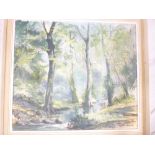 Jim Adams - oil on canvas "Tredavoh Woods, Newlyn", signed, inscribed to verso,