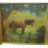 S**Chapman - oil on canvas Study of a horse in a field, signed,