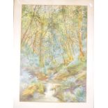J**B**McGeorge - watercolour A woodland stream "Lydford", signed and dated 1925,