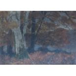 OLIVER HALL R.A., R.W.S., R.E. (1869-1957): Dark woodland river bank, oils on board.