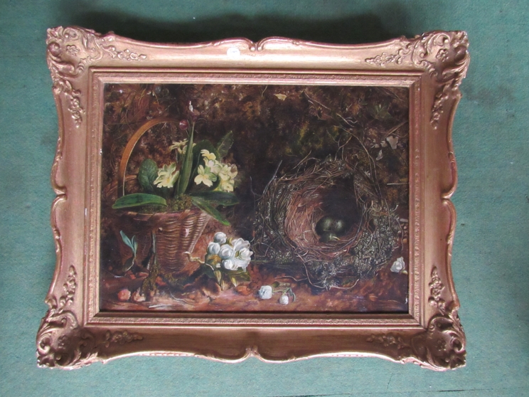 In the manner of Oliver Clare (1853-1927): An oil on canvas study of a moss lined birds nest and - Image 2 of 2