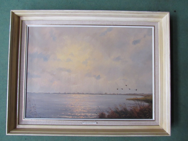 H. SCHOLFMAN (XX) A framed oil on canvas mallard over the wash, signed bottom left, 47cm x 65. - Image 4 of 4