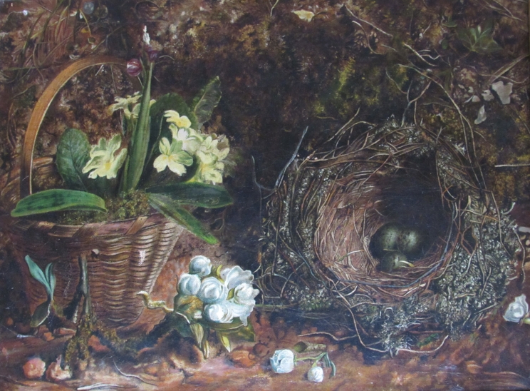 In the manner of Oliver Clare (1853-1927): An oil on canvas study of a moss lined birds nest and