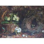 In the manner of Oliver Clare (1853-1927): An oil on canvas study of a moss lined birds nest and