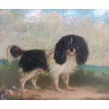 A 19th Century oil on canvas depicting a King Charles Spaniel,