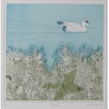 ANNA PUGH (b.1938) A framed and glazed limited edition print 'Shadow', pencil signed and No.