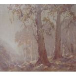 DARYL LINDSAY (XIX/XX): A framed mounted and glazed watercolour depicting Autumnal woodland scene,