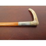 An Edwardian riding crop with horn handle and Malacca shaft, unmarked silver collar inscribed Babs,