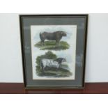 An early 19th Century book plate "Agriculture" depicting a long honed bull and short horned,