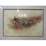 A Mick Cawston watercolour depicting a fox catching a pheasant amongst foliage, signed lower right,