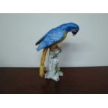 A Continental porcelain figure of blue Macaw,